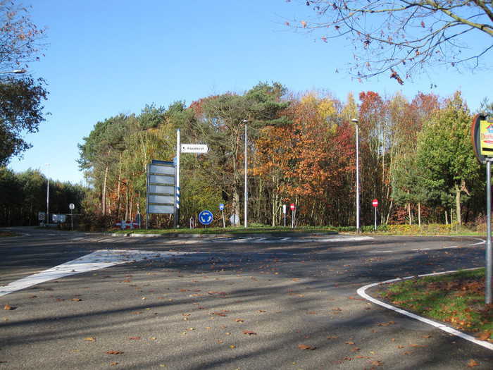Empty roundabout in autumn
