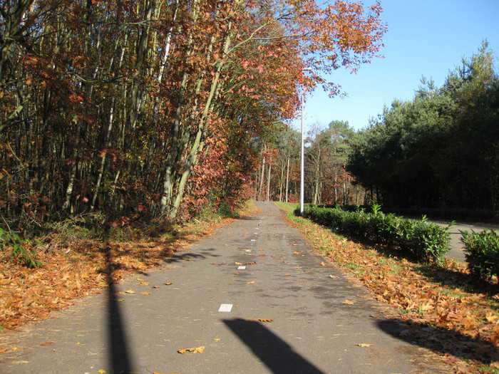 Empty cyclepath to the pool