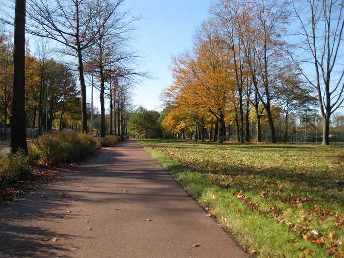 Red cyclepath