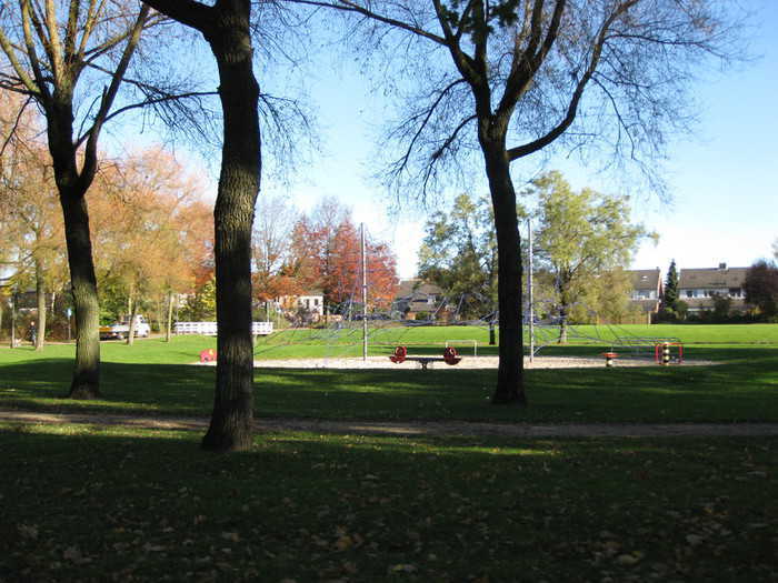 Park with playground