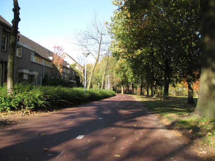 Houses next to the cyclepath