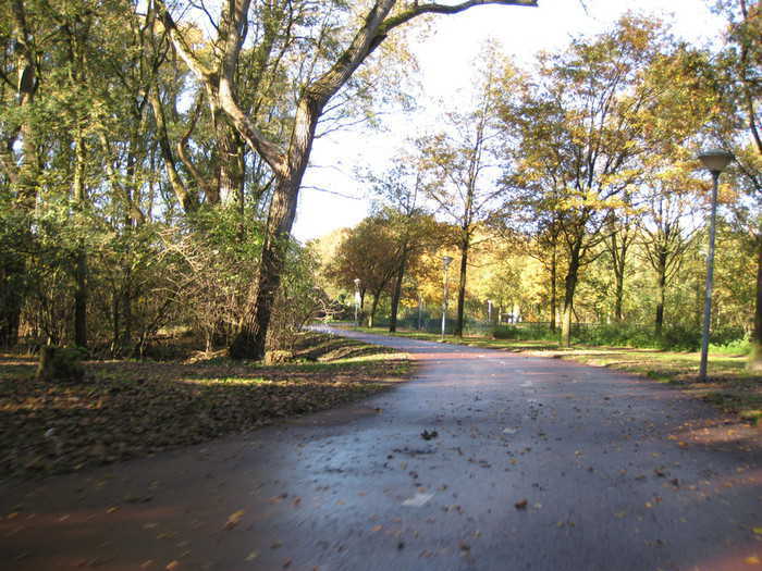 Red cyclepath