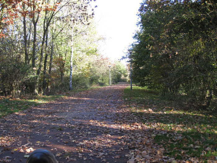 Up on the embankment