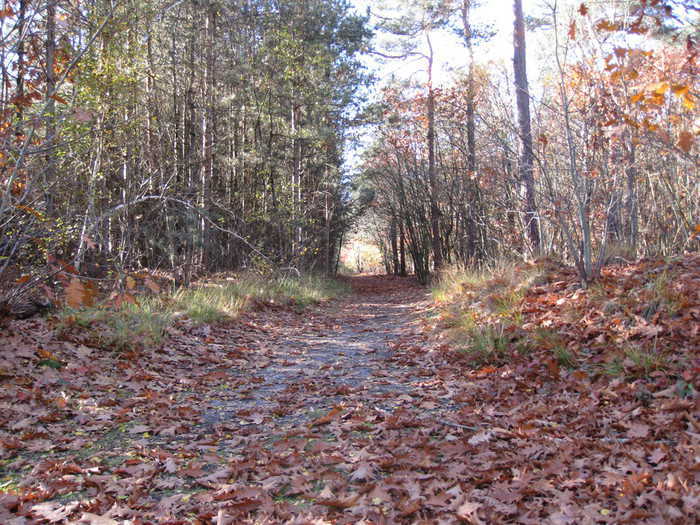 A walking lane