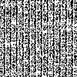 A piece of a plain text file represented as a black-and-white picture